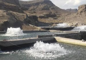 ​تولید آبزیان با آب کارگاه های ماسه شویی در استان آذربایجان شرقی