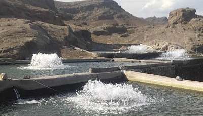 ​تولید آبزیان با آب کارگاه های ماسه شویی در استان آذربایجان شرقی