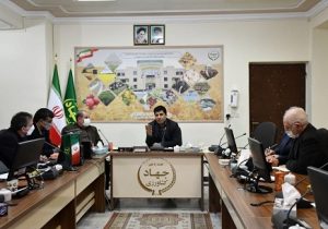 پیش بینی تولید بیش از۶۵۰ هزار تن گندم در آذربایجان شرقی در سالزراعی جاری