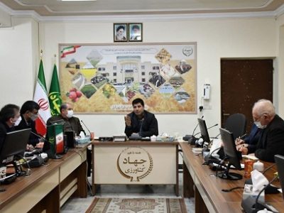 پیش بینی تولید بیش از۶۵۰ هزار تن گندم در آذربایجان شرقی در سالزراعی جاری