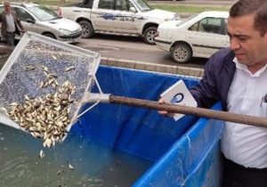 رهاسازی ۳۰ هزار قطعه بچه ماهی در مزارع پرورش ماهی شهرستان مرند استان اذربایجان شرقی
