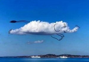 گزارش تصویری: ابرهایی که جان دار شدند!