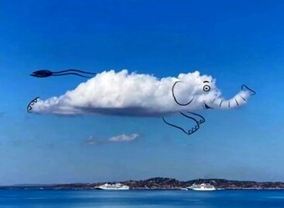 گزارش تصویری: ابرهایی که جان دار شدند!