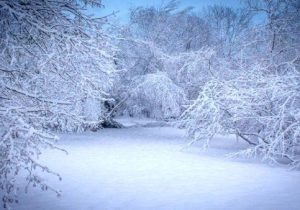 آذربایجان‌شرقی تعطیل شد