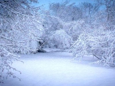 آذربایجانشرقی تعطیل شد