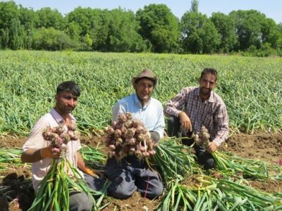 در جهت تامین امنیت غذایی کشور کشاورزان شاخص باید دانش و یافته های خود را به جامعه هدف منتقل نمایند