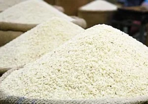 برنج نیم میلیون می شود؟/ برخی فروشندگان احتکار کرده اند