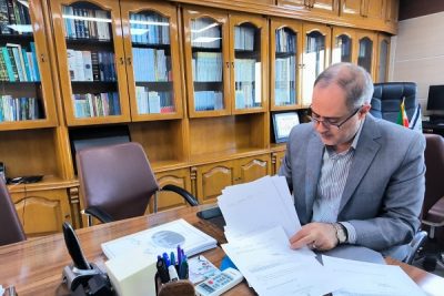 وقتی الگوهای بازار ۸۰ میلیونی درک نمی‌شود!/  شبح «شبه دولتی»ها و «شبه خصوصی»‌ها در اقتصاد ایران