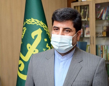 افزایش ۵۰ درصدی قیمت خرید تضمینی دانه‌های روغنی در سال زراعی جاری