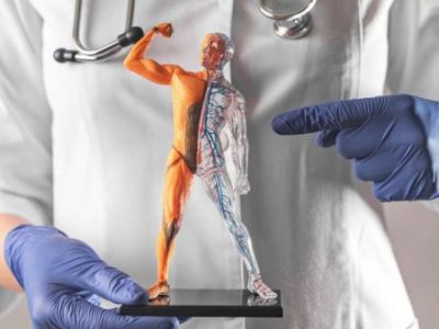 جالب‌ترین دانستنی ‌های علمی در مورد بدن انسان