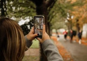 ندانستن این موارد، از نشانه های بیشعوری است