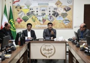 جمع آوری آمار دقیق در حوزه دام یکی از نیازهای فناورانه آذربایجان شرقی است