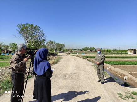 پیش بینی تولید ۶۷۴ هزار تن سبزی و صیفی در آذربایجان شرقی