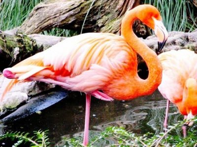 دانستنی های جالب از دنیا که تا به حال به گوشتان نخورده