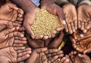 تصمیم خطرناک هند در زمینه صادرات گندم/ دنیا در آستانه یک چالش بزرگ/ آیا یک قحطی بزرگ جهانی در راه است؟