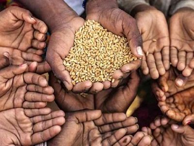 تصمیم خطرناک هند در زمینه صادرات گندم/ دنیا در آستانه یک چالش بزرگ/ آیا یک قحطی بزرگ جهانی در راه است؟