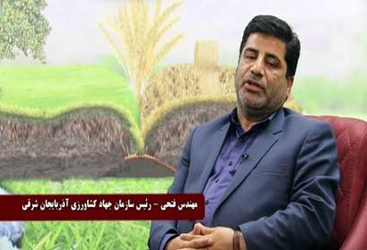 افزایش۵۰ درصدی نرخ خرید تضمینی گندم و ۳۶درصدی کلزا برای سال زراعی جدید