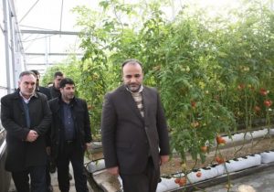 شهرک گلخانه ای عجب شیر به زودی به بهره برداری کامل می رسد