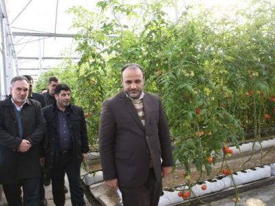 شهرک گلخانه ای عجب شیر به زودی به بهره برداری کامل می رسد