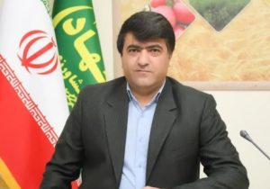 تولید ۱۸۰ هزار تن گندم برای اولین بار در هشترود