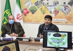 کشاورزان آذربایجان شرقی تا ۳۰ آذر زراعت خود را بیمه کنند  بهره برداران بخش کشاورزی برای بیمه کردن محصولات تعجیل نمایند