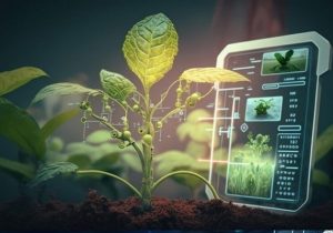 حوزه های کلیدی تحول دیجیتال در بخش کشاورزی – چالش ها و راهکارهای پیش رو